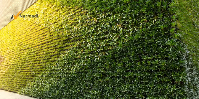 Vertical garden di kolam renang