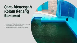 kolam renang berlumut